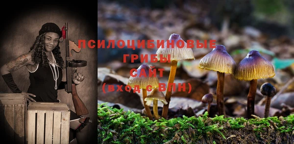 прущая мука Алзамай