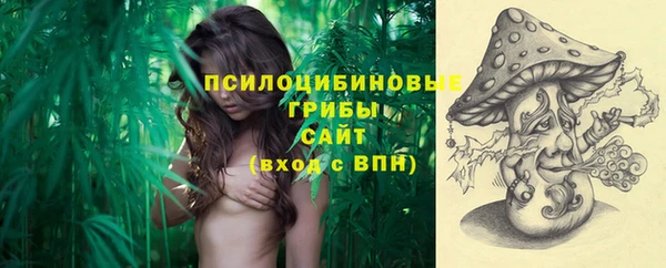 гашик Абдулино